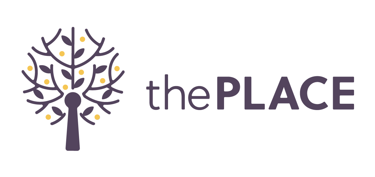 the place logo